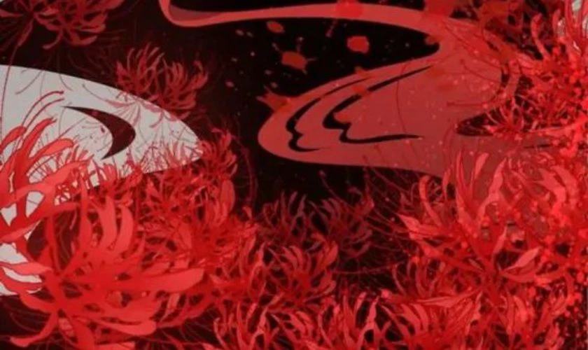 Ảnh nền rừng hoa bỉ ngạn đỏ &yacute; nghĩa hồi ức đau thương
