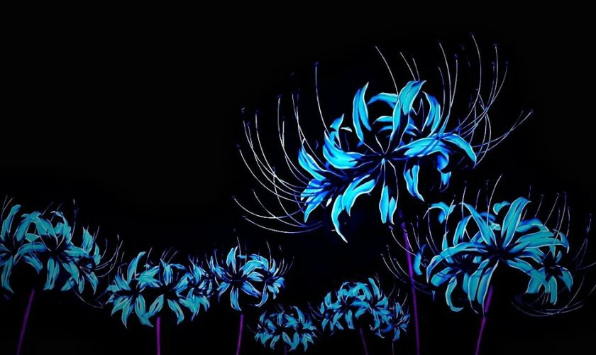 Wallpaper nhiều b&ocirc;ng hoa bỉ ngạn xanh n&eacute;t 4K
