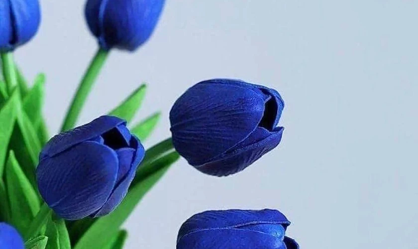 H&igrave;nh nền hoa Tulip m&agrave;u xanh y&ecirc;n b&igrave;nh n&eacute;t nhất