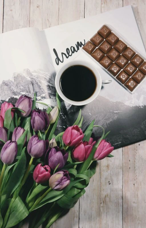 Ảnh hoa Tulip nhiều m&agrave;u sắc cực đẹp