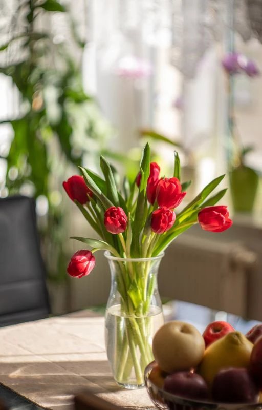 Ảnh lọ hoa Tulip chill Full HD si&ecirc;u n&eacute;t