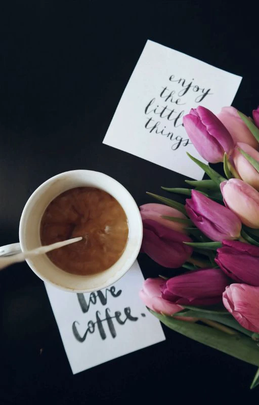 Ảnh nh&agrave;nh hoa Tulip chill v&agrave; Full HD si&ecirc;u n&eacute;t