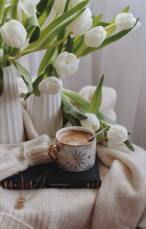 Ảnh hoa Tulip chill Full HD si&ecirc;u n&eacute;t l&ecirc;n đến 4k