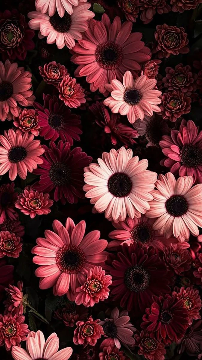 Wallpaper iOS 26.4 chủ đề thiên nhiên, phong cảnh cho iPhone