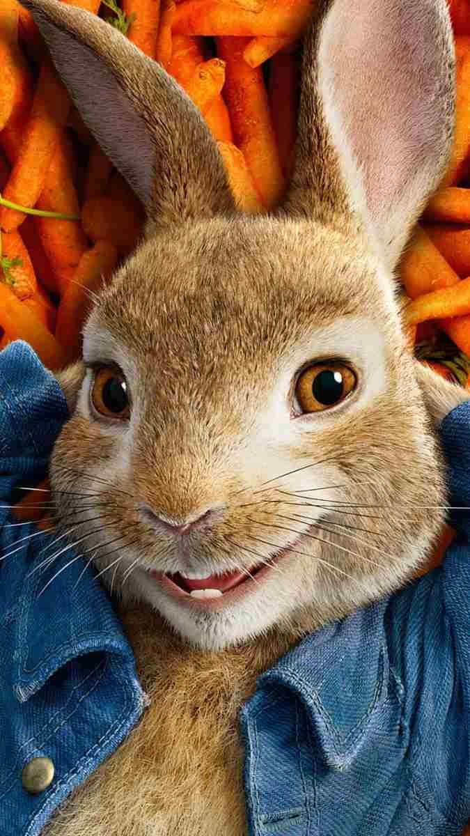 Hình nền chú thỏ full HD