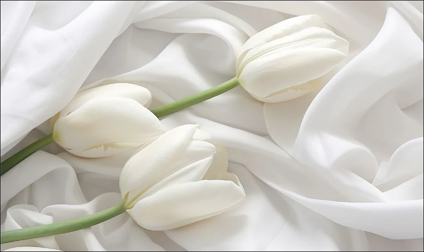 H&igrave;nh nền iPad hoa tulip trắng