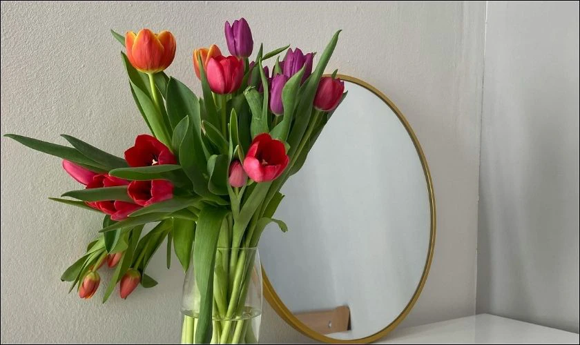 H&igrave;nh nền iPad hoa tulip