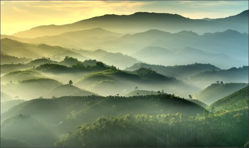 Đồi n&uacute;i m&ecirc;nh m&ocirc;ng v&agrave; sương m&ugrave;