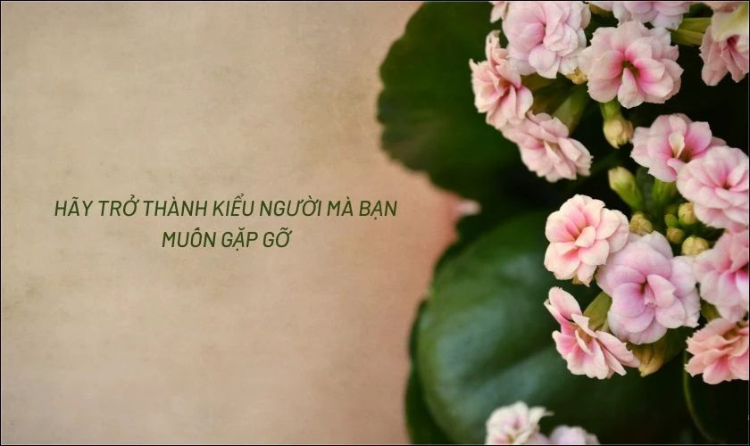 H&igrave;nh nền iPad cute c&oacute; chữ