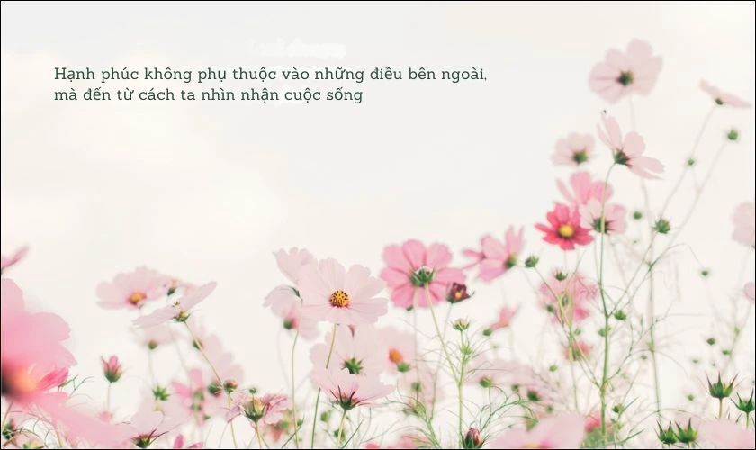 H&igrave;nh nền iPad cute c&oacute; chữ &yacute; nghĩa