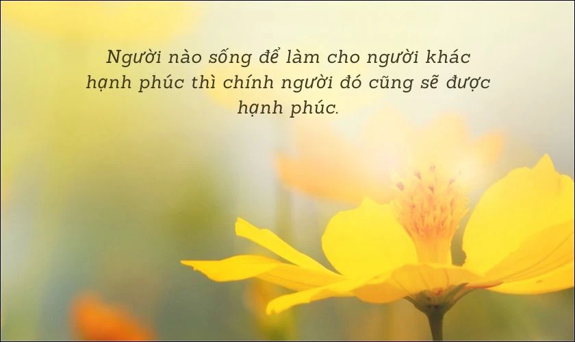 Những người hạnh ph&uacute;c