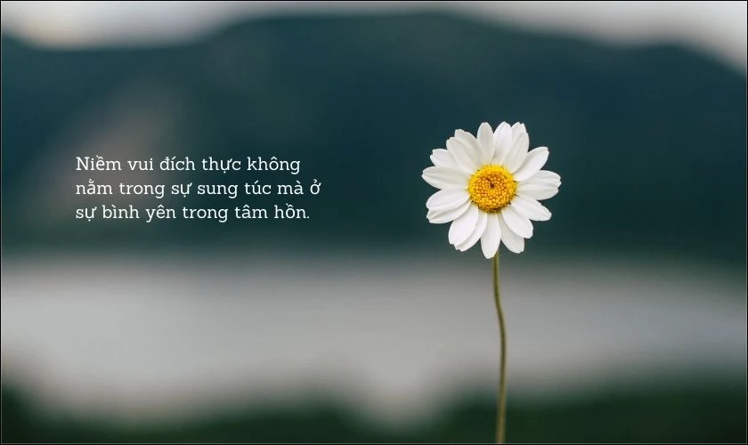 Niềm vui đ&iacute;ch thực trong cuộc sống