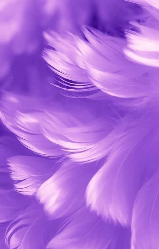 Wallpaper màu tím lông vũ