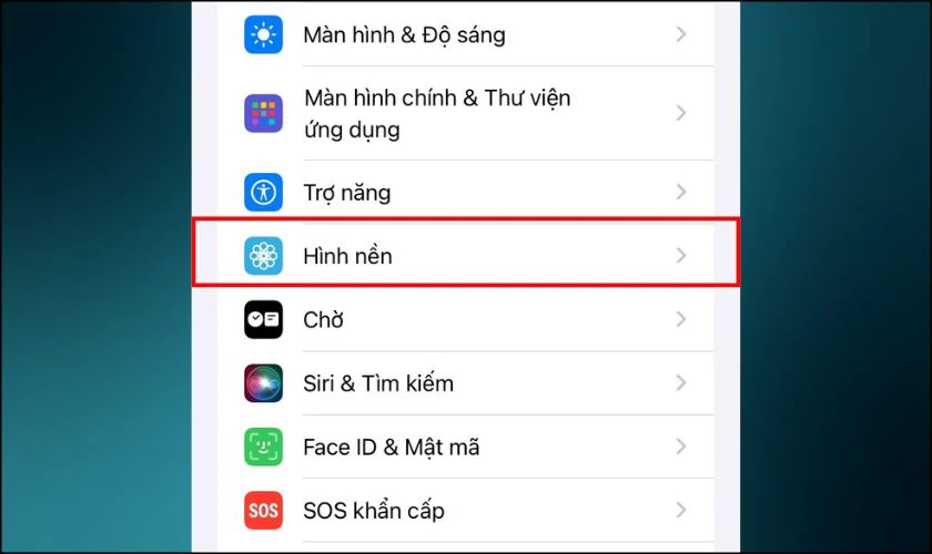 C&aacute;ch c&agrave;i h&igrave;nh nền tr&ecirc;n iPhone 13
