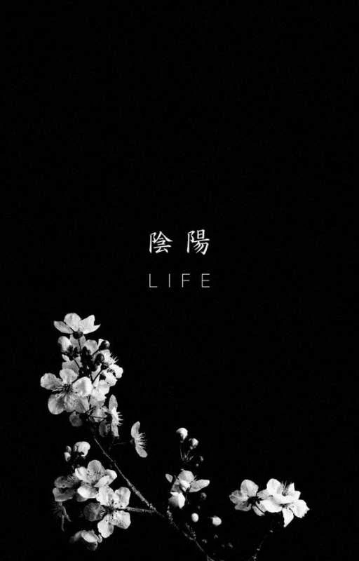 Nền m&agrave;u đen về &yacute; nghĩa cuộc sống