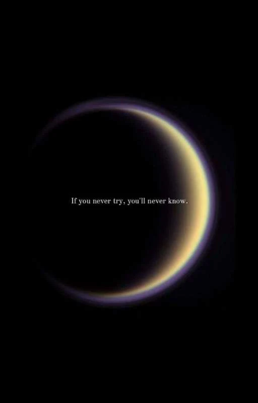 If you never try, you