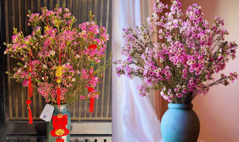 Hoa thanh liễu - May mắn, uyển chuyển