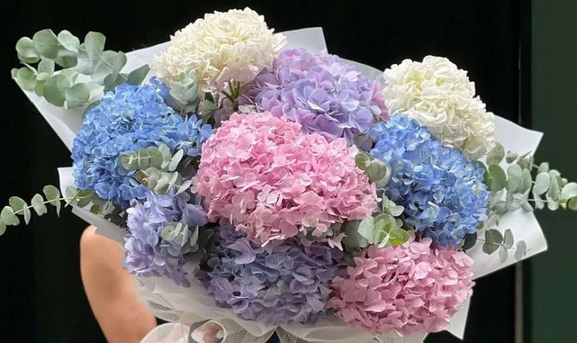 Bó hoa Valentine đẹp với hoa cẩm tú cầu