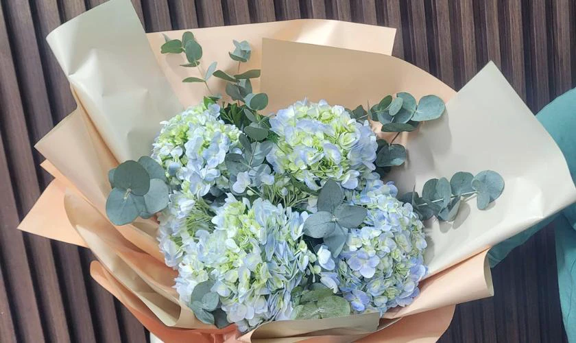 Bó hoa đẹp với hoa cẩm tú cầu