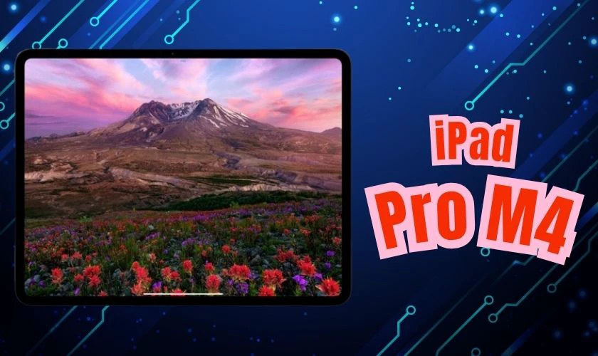 iPad Pro M4 11 inch