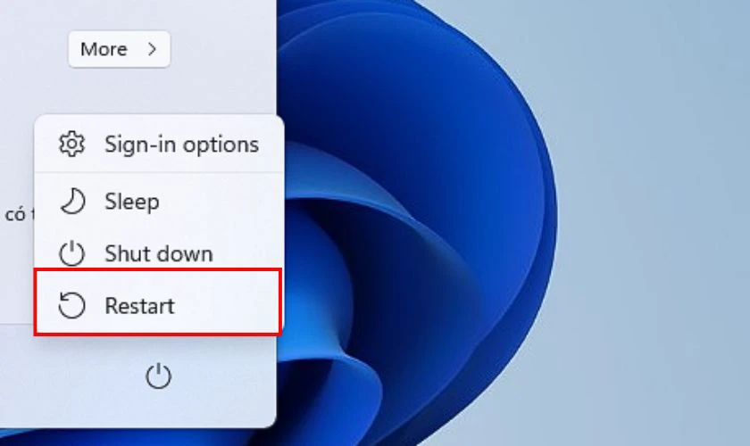 Những cách khắc phục lỗi IDM không tự bắt link trên Chrome