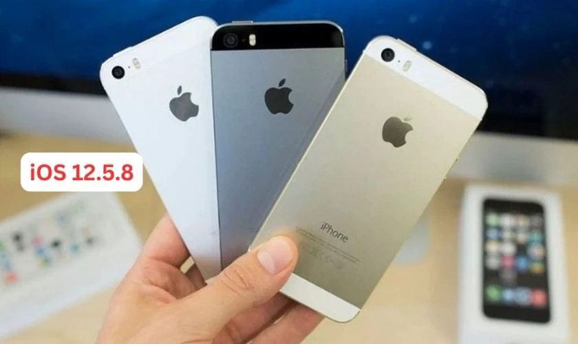 Các dòng iPhone cập nhật được iOS 12.5.8