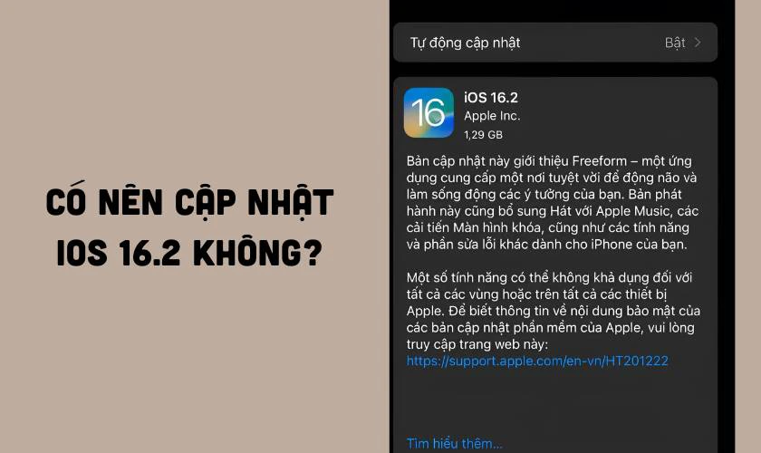 C&oacute; n&ecirc;n cập nhật bản iOS 16.2 kh&ocirc;ng?