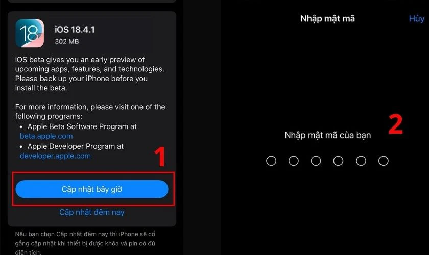 Nếu iOS 18.4.1 đã khả dụng, chọn Cập nhật bây giờ (Update Now)