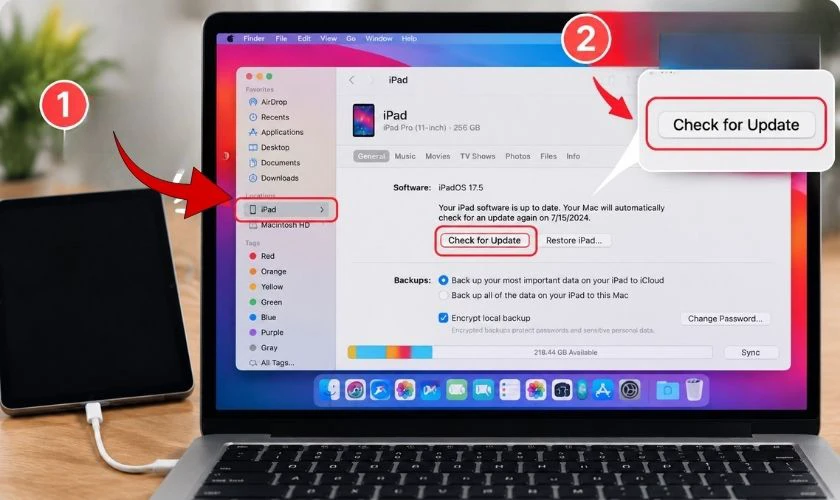 Chọn Kiểm tra bản cập nhật (Check for Update)