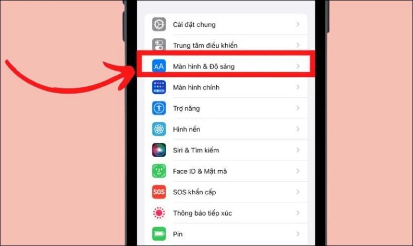 Thiết lập m&agrave;n h&igrave;nh ti&ecirc;u chuẩn tr&ecirc;n iPhone