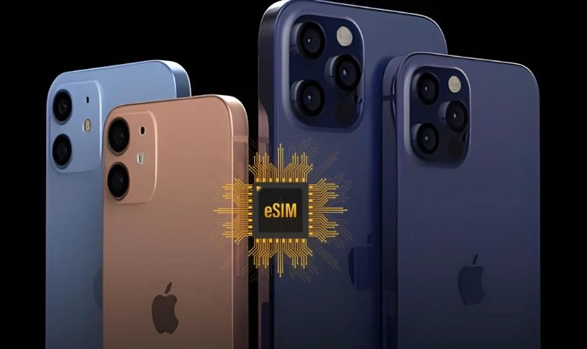 Điện thoại iPhone 12, iPhone 12 Pro Max c&oacute; hỗ trợ eSIM kh&ocirc;ng?