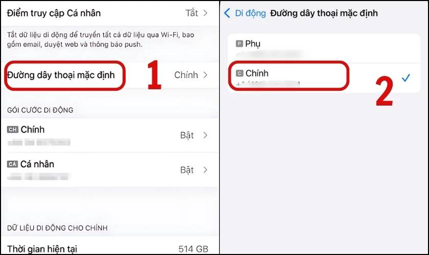 Đường d&acirc;y mặc định