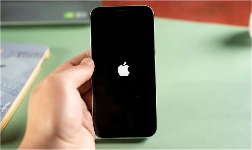Đợi cho đến khi logo Apple xuất hiện