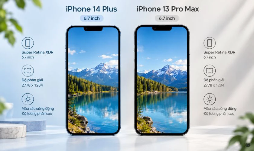 So sánh iPhone 14 Plus và 13 Pro Max về màn hình