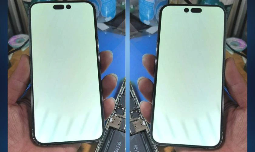iPhone 14 Pro Max bị trắng màn hình là tình trạng gì