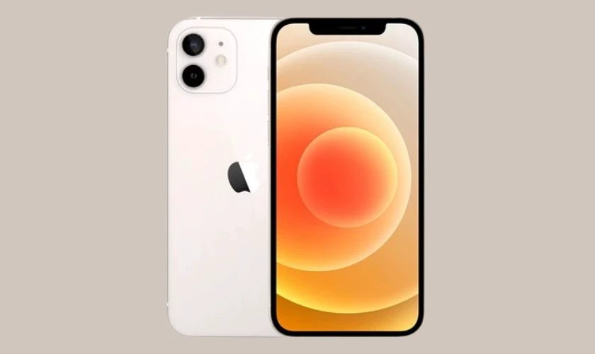 iPhone 12 256GB cũ