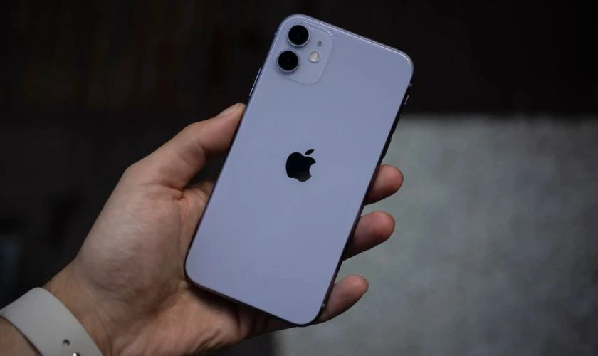 iPhone 11 &ndash; iPhone cho người cao tuổi