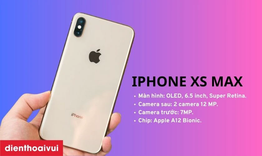 iPhone XS Max 256GB