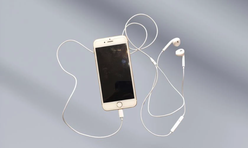 Kiểm tra lại tai nghe Lightning khi iPhone kh&ocirc;ng nhận kết nối
