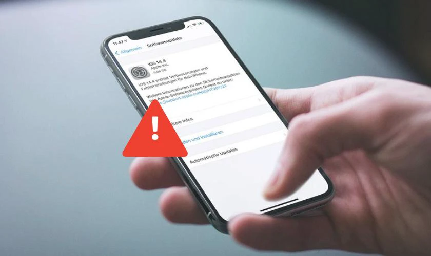 Lỗi phần mềm hoặc hệ điều h&agrave;nh