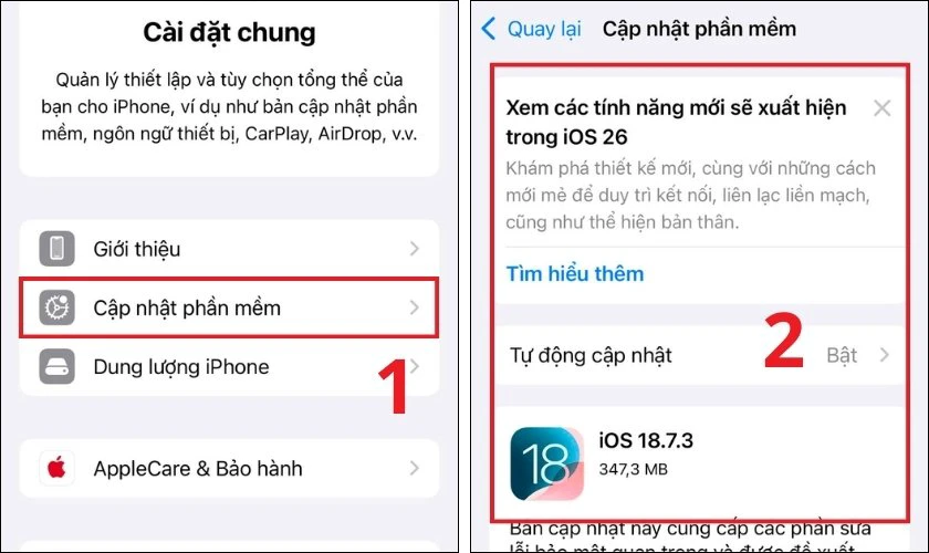 Nhấn vào Cập nhật phần mềm