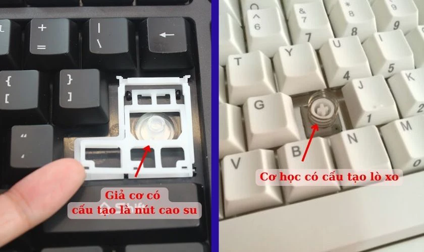 B&agrave;n ph&iacute;m cơ v&agrave; b&agrave;n ph&iacute;m giả cơ