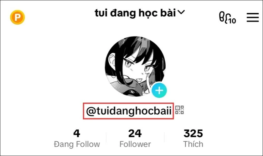 Giải đ&aacute;p ID TikTok l&agrave; g&igrave;