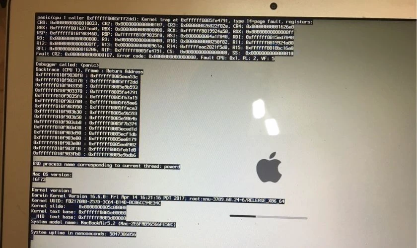 Kernel Panic MacBook là gì?