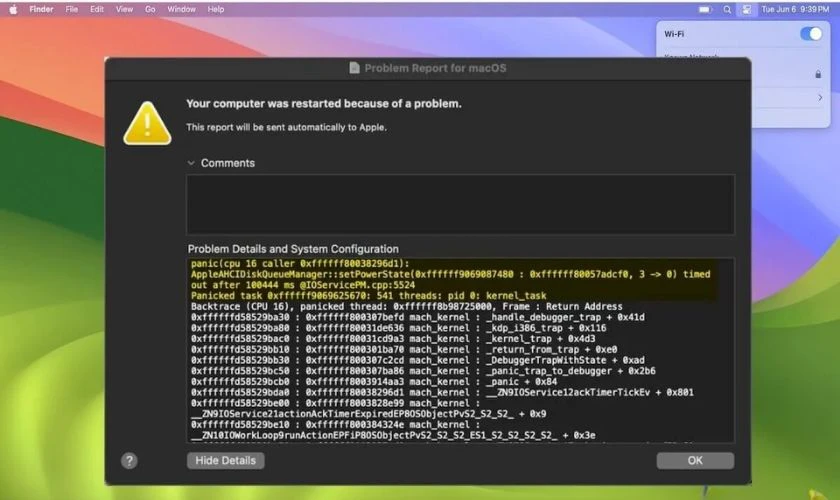 Dấu hiệu Kernel Panic MacBook thường gặp