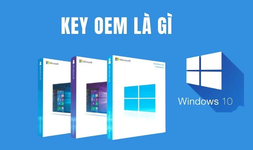 Key OEM l&agrave; g&igrave;