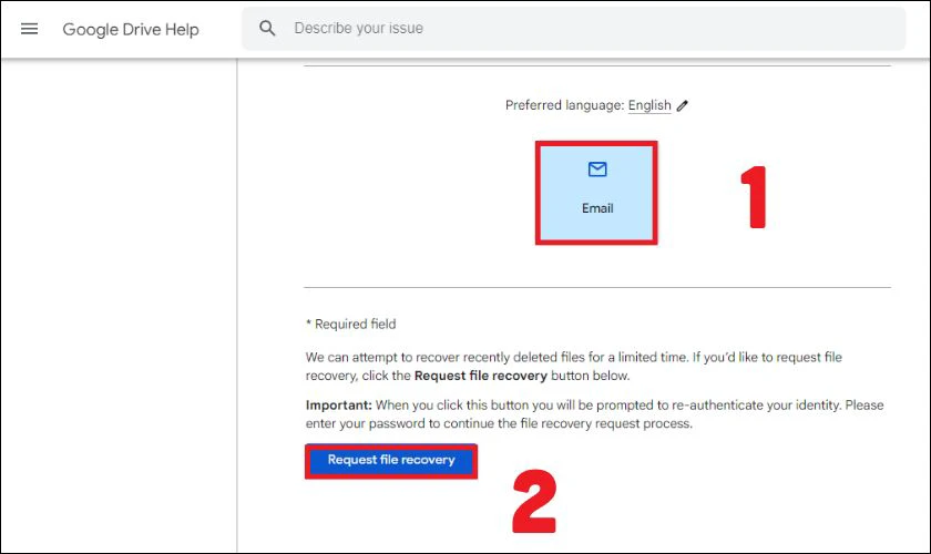Cung cấp thông tin cần thiết sau đó chọn Email ở bước thứ 3 và chọn Request file recovery