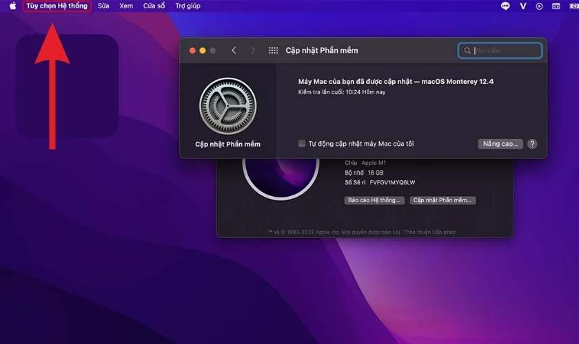 Cập nhật phi&ecirc;n bản macOS, phi&ecirc;n bản Word mới nhất