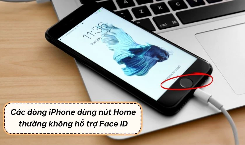 Vì sao iPhone không có mục Face ID trong Cài đặt?