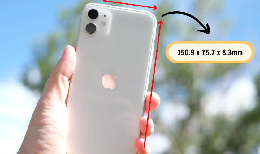 Thông tin về kích thước màn hình iPhone 11